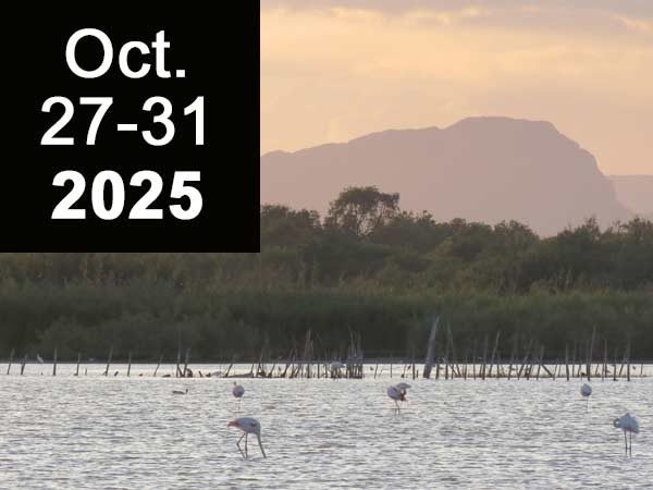 congres-rst-oct-2025-en